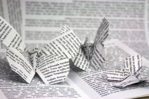 Paper Butterflies